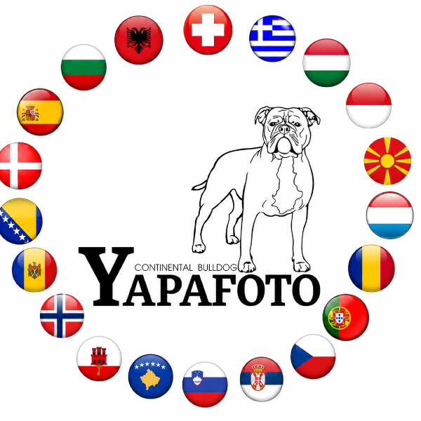 Yapafoto