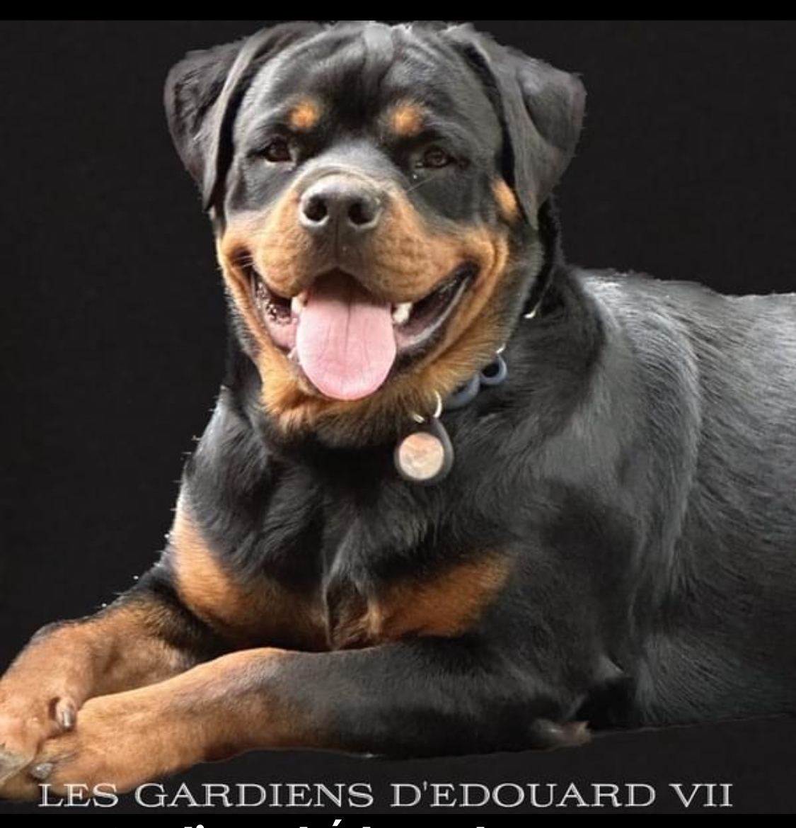 breeding.breeding_name