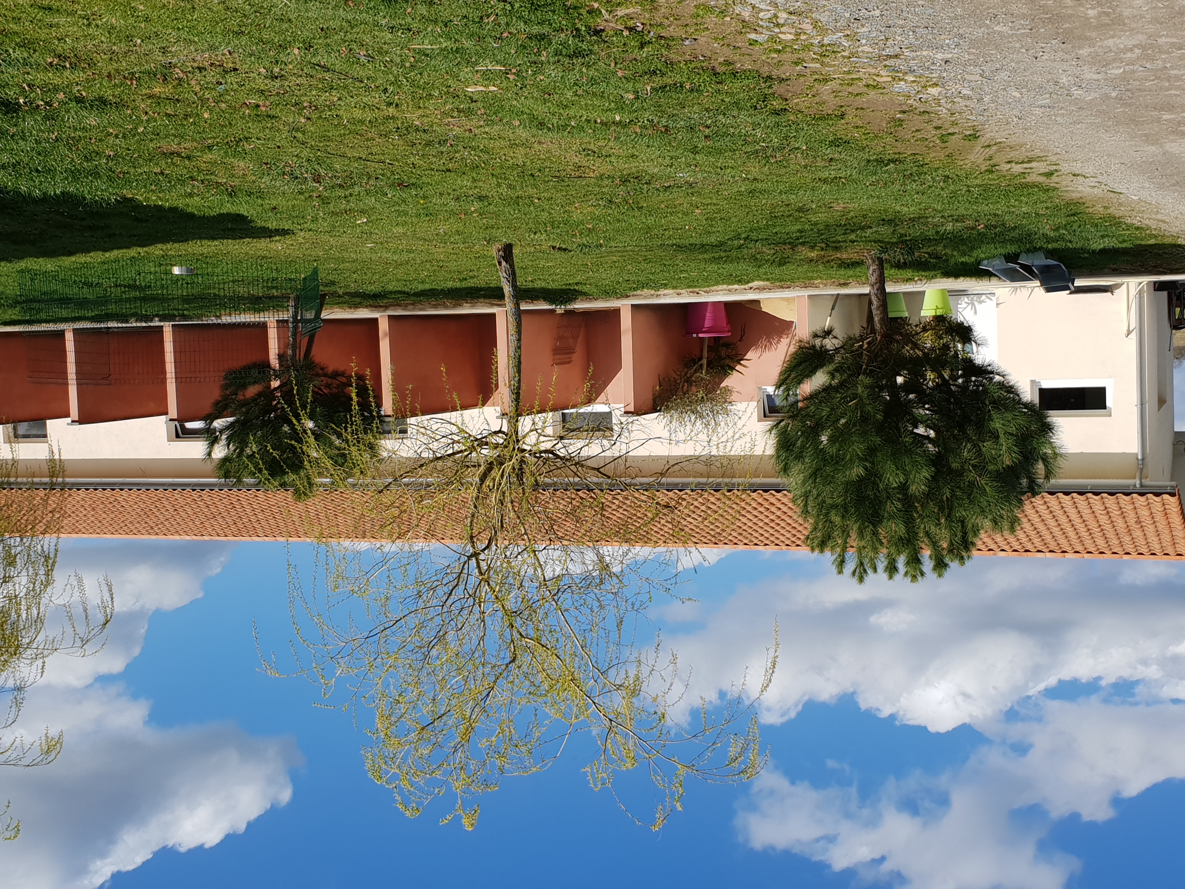 breeding.breeding_name